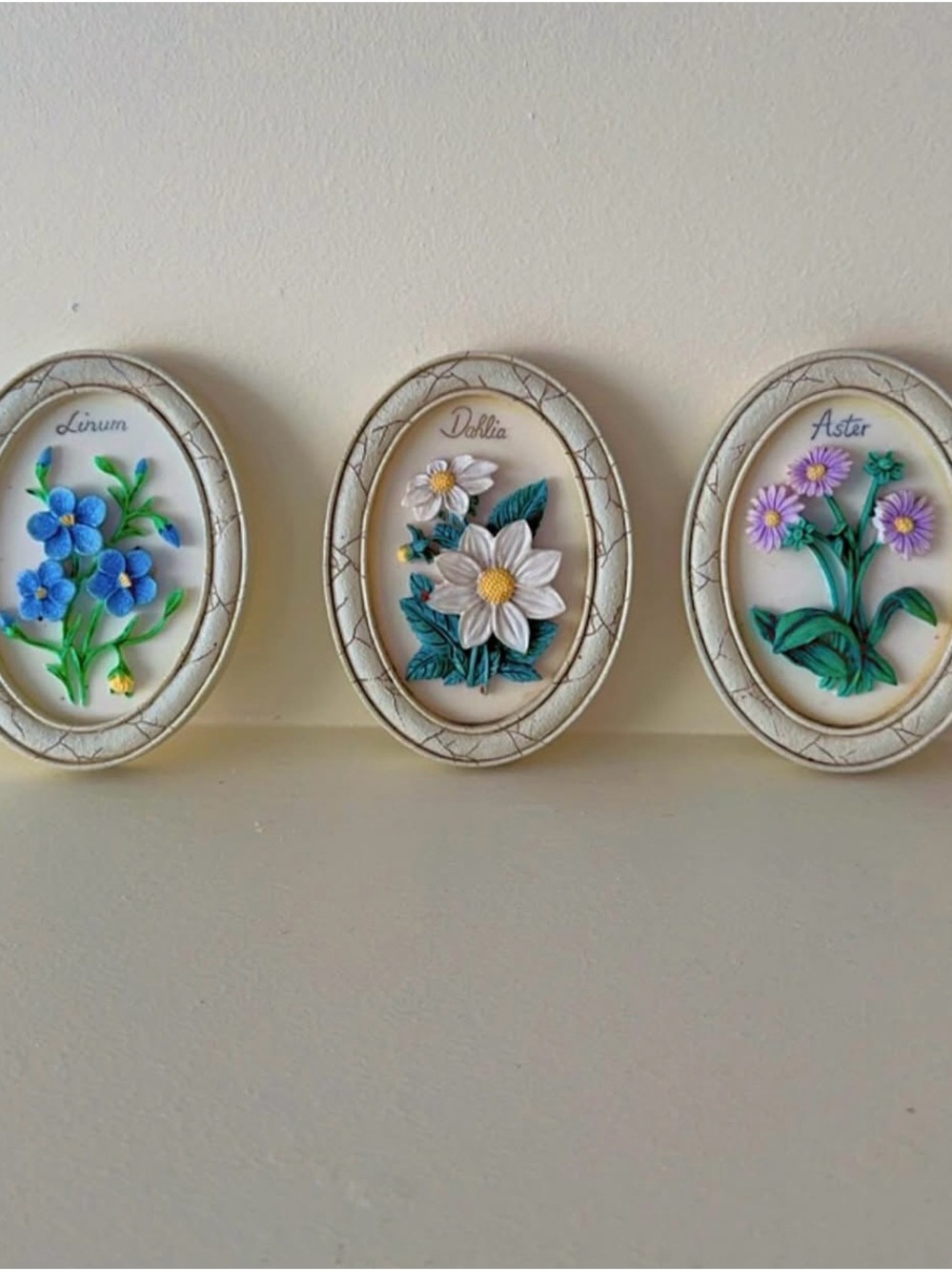 Vintage 3D Botanical Floral Oval Wall Plaques Set of 3 (Linum, Dahlia, Aster)
